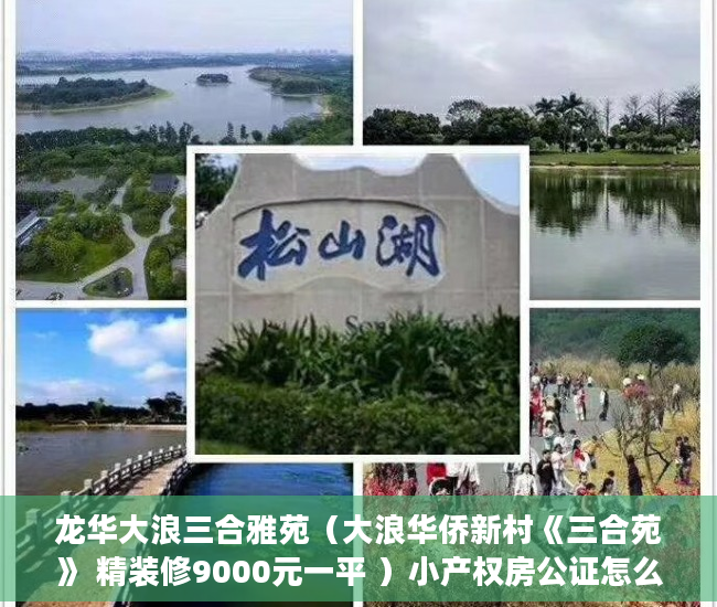龙华大浪三合雅苑（大浪华侨新村《三合苑》 精装修9000元一平 ）小产权房公证怎么办，