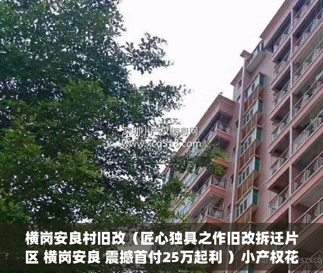 横岗安良村旧改（匠心独具之作旧改拆迁片区 横岗安良 震撼首付25万起利 ）小产权花园房买过的怎么样了，