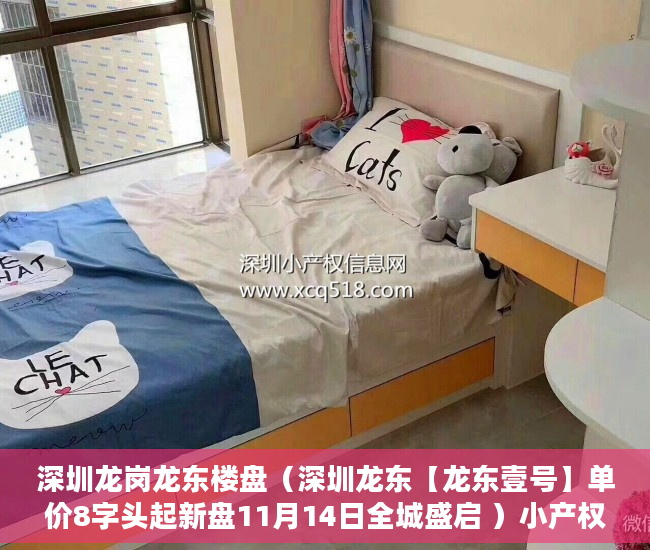 深圳龙岗龙东楼盘（深圳龙东【龙东壹号】单价8字头起新盘11月14日全城盛启 ）小产权房过多久就不能拆了，
