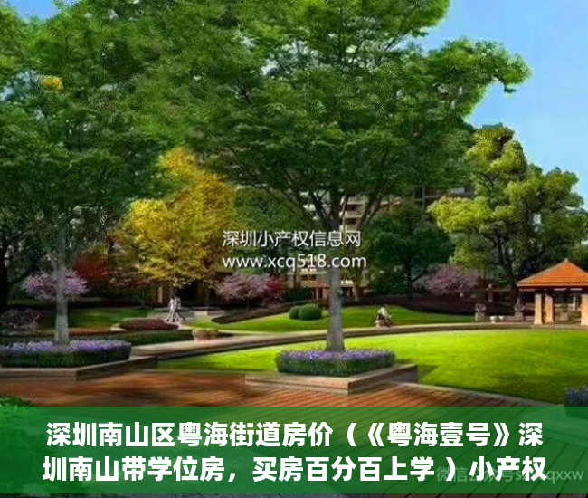 深圳南山区粤海街道房价（《粤海壹号》深圳南山带学位房，买房百分百上学 ）小产权的使用年限是多久，
