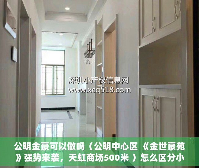 公明金豪可以做吗（公明中心区 《金世豪苑》强势来袭，天虹商场500米 ）怎么区分小产权房，