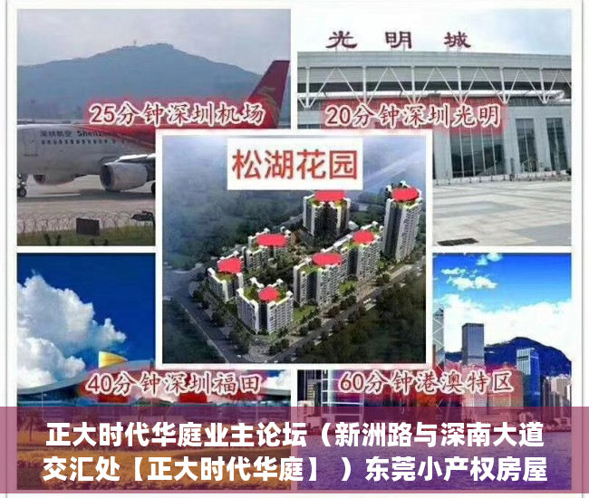 正大时代华庭业主论坛（新洲路与深南大道交汇处【正大时代华庭】 ）东莞小产权房屋怎么办，