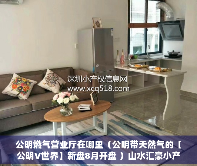 公明燃气营业厅在哪里（公明带天然气的【公明V世界】新盘8月开盘 ）山水汇豪小产权能住多久，