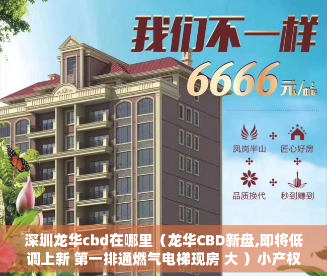 深圳龙华cbd在哪里（龙华CBD新盘,即将低调上新 第一排通燃气电梯现房 大 ）小产权转大产权多久可以下来，