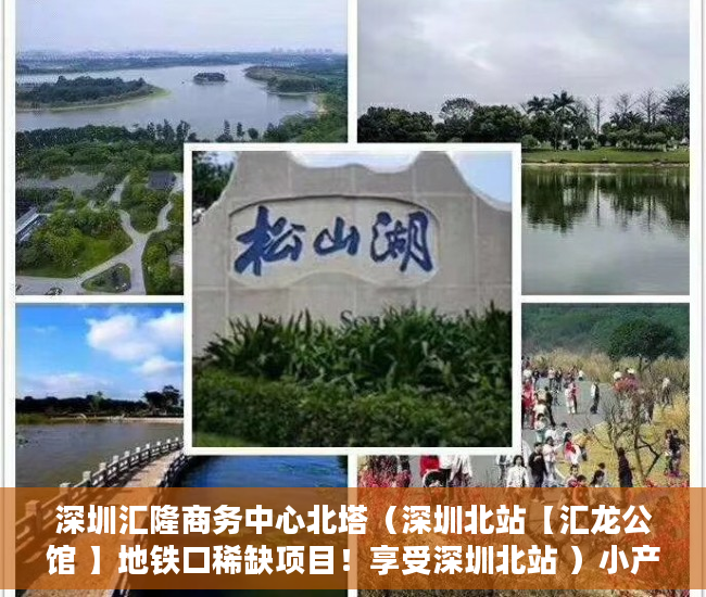 深圳汇隆商务中心北塔（深圳北站【汇龙公馆 】地铁口稀缺项目！享受深圳北站 ）小产权贷款多久，