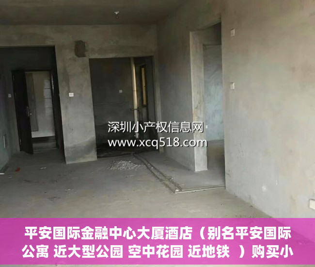 平安国际金融中心大厦酒店（别名平安国际公寓 近大型公园 空中花园 近地铁  ）购买小产权起诉多久能退款，