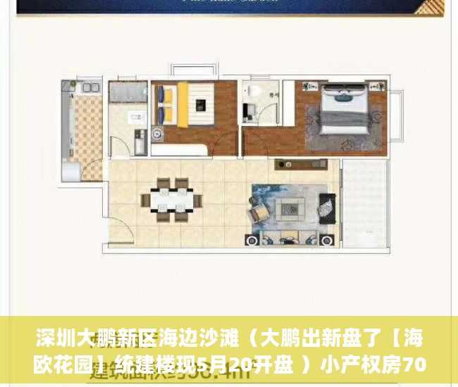 深圳大鹏新区海边沙滩（大鹏出新盘了【海欧花园】统建楼现5月20开盘 ）小产权房70年后怎么办，