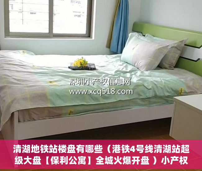 清湖地铁站楼盘有哪些（港铁4号线清湖站超级大盘【保利公寓】全城火爆开盘 ）小产权房打官司需要多久，