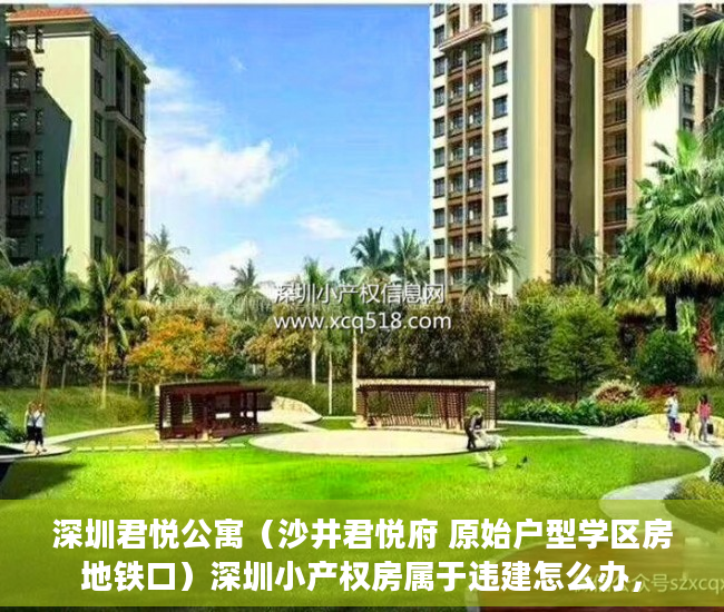 深圳君悦公寓（沙井君悦府 原始户型学区房地铁口）深圳小产权房属于违建怎么办，