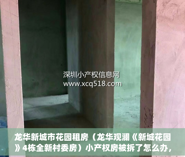 龙华新城市花园租房（龙华观澜《新城花园》4栋全新村委房）小产权房被拆了怎么办，