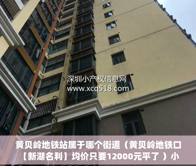 黄贝岭地铁站属于哪个街道（黄贝岭地铁口 【新湖名利】均价只要12000元平了 ）小产权多久认定为历史遗留，