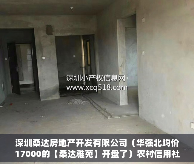 深圳桑达房地产开发有限公司（华强北均价17000的【桑达雅苑】开盘了）农村信用社小产权贷款需要多久，