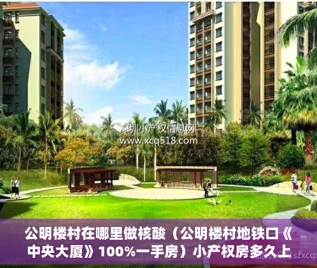 公明楼村在哪里做核酸（公明楼村地铁口《中央大厦》100%一手房）小产权房多久上市，