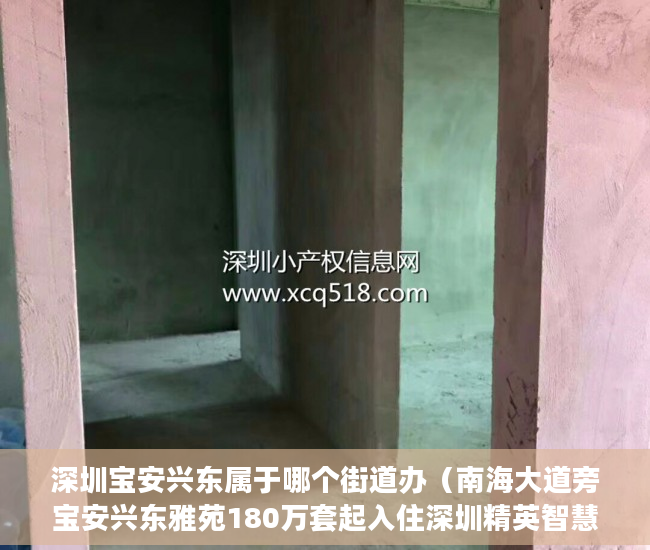 深圳宝安兴东属于哪个街道办（南海大道旁宝安兴东雅苑180万套起入住深圳精英智慧住 ）大产权转小产权了多久可以出售，