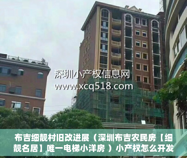 布吉细靓村旧改进展（深圳布吉农民房【细靓名居】唯一电梯小洋房 ）小产权怎么开发，