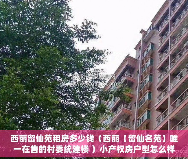 西丽留仙苑租房多少钱（西丽【留仙名苑】唯一在售的村委统建楼 ）小产权房户型怎么样，