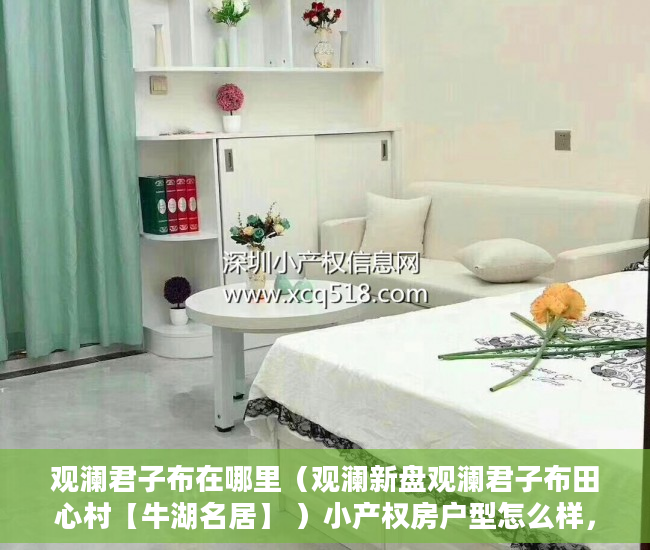观澜君子布在哪里（观澜新盘观澜君子布田心村【牛湖名居】 ）小产权房户型怎么样，