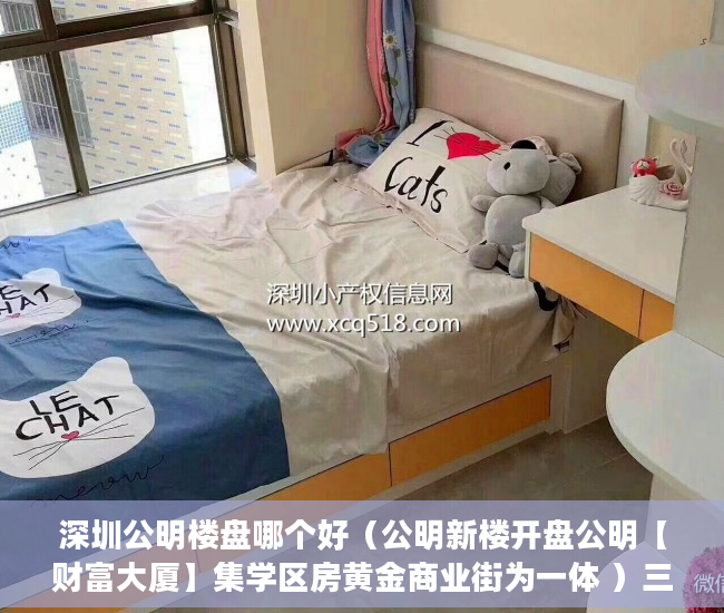 深圳公明楼盘哪个好（公明新楼开盘公明【财富大厦】集学区房黄金商业街为一体 ）三亚小产权拆除后多久可以解除，