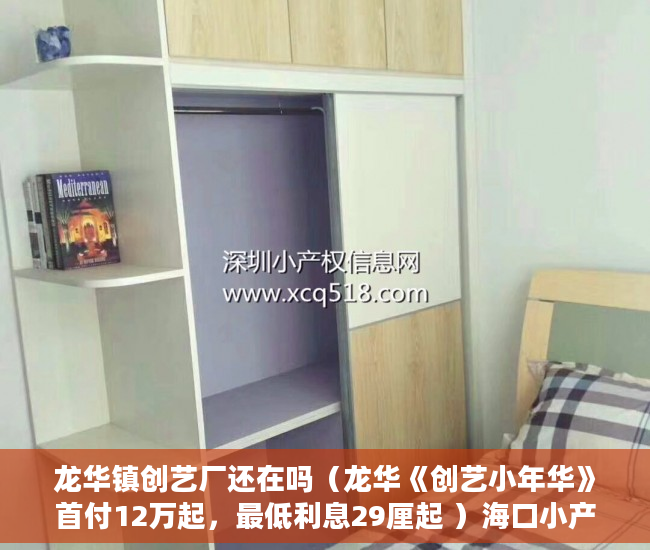 龙华镇创艺厂还在吗（龙华《创艺小年华》首付12万起，最低利息29厘起 ）海口小产权房怎么上学，