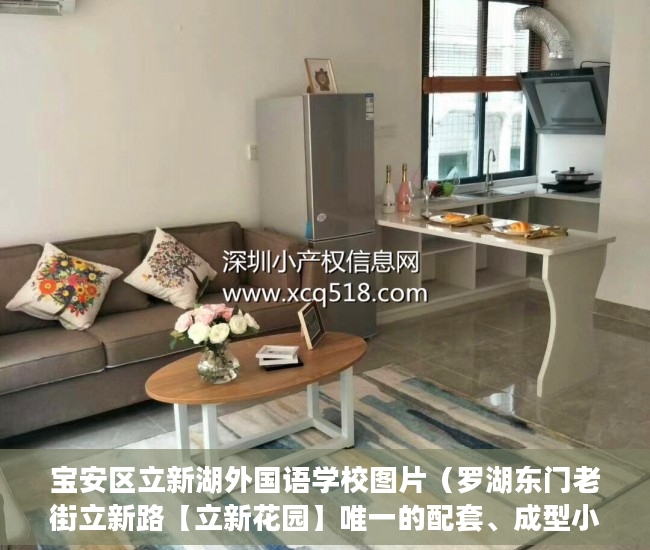 宝安区立新湖外国语学校图片（罗湖东门老街立新路【立新花园】唯一的配套、成型小区 ）小产权大队见证盖章要多久，