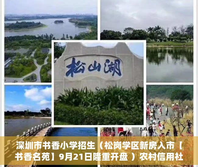深圳市书香小学招生（松岗学区新房入市【书香名苑】9月21日隆重开盘 ）农村信用社小产权贷款需要多久，