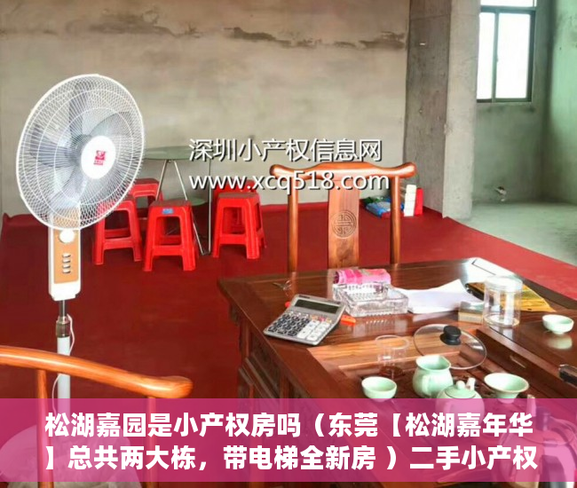 松湖嘉园是小产权房吗（东莞【松湖嘉年华】总共两大栋，带电梯全新房 ）二手小产权房产权多久，
