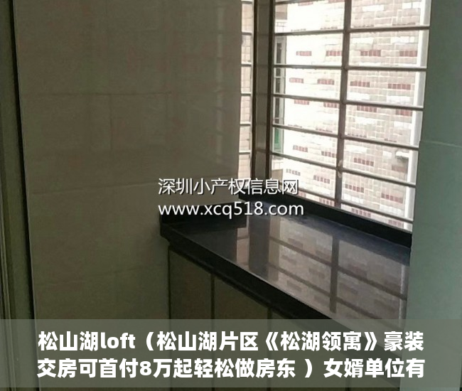 松山湖loft（松山湖片区《松湖领寓》豪装交房可首付8万起轻松做房东 ）女婿单位有小产权房怎么办，
