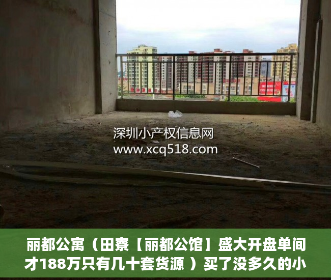丽都公寓（田寮【丽都公馆】盛大开盘单间才188万只有几十套货源 ）买了没多久的小产权要拆怎么办，