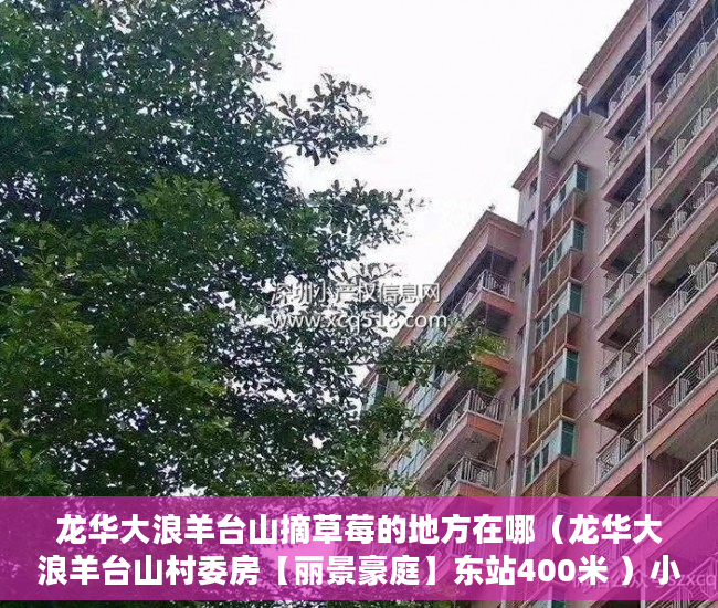 龙华大浪羊台山摘草莓的地方在哪（龙华大浪羊台山村委房【丽景豪庭】东站400米 ）小产权房怎么过户，