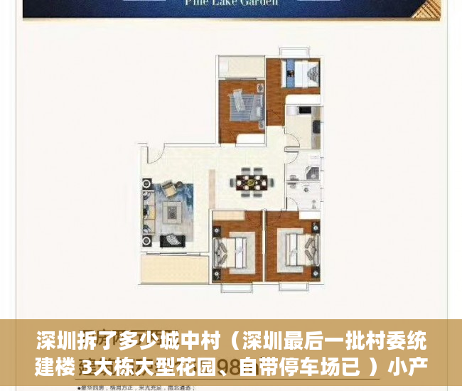 深圳拆了多少城中村（深圳最后一批村委统建楼 3大栋大型花园、自带停车场已 ）小产权怎么退，