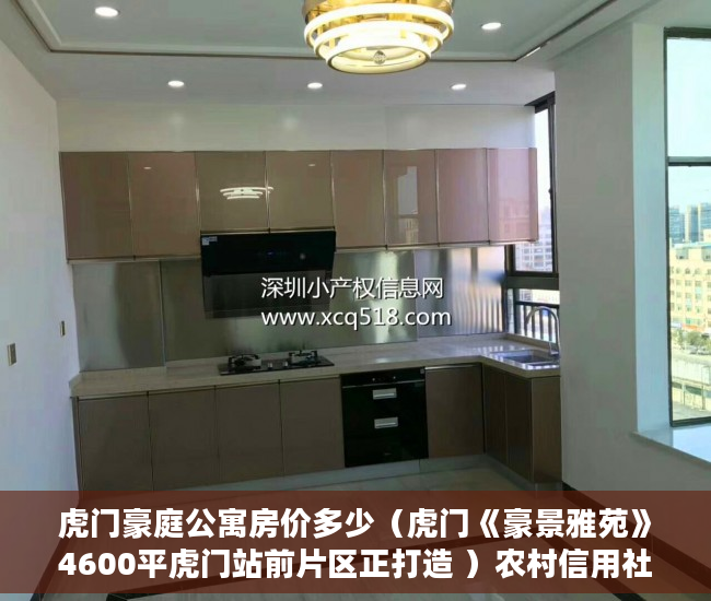 虎门豪庭公寓房价多少（虎门《豪景雅苑》4600平虎门站前片区正打造 ）农村信用社小产权贷款需要多久，
