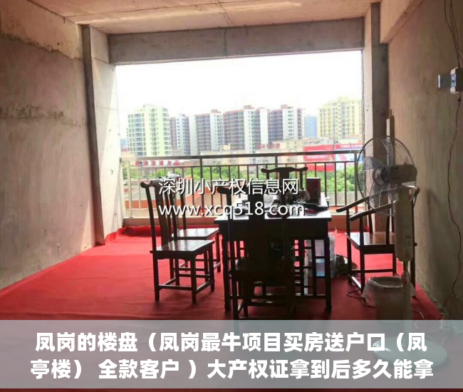 凤岗的楼盘（凤岗最牛项目买房送户口（凤亭楼） 全款客户 ）大产权证拿到后多久能拿到小产权证，