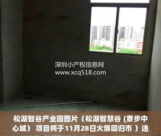 松湖智谷产业园图片（松湖智慧谷 (寮步中心城） 项目将于11月28日火爆回归市 ）违建小产权房过多久就不能拆了，