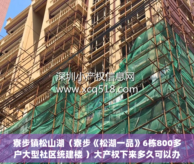 寮步镇松山湖（寮步《松湖一品》6栋800多户大型社区统建楼 ）大产权下来多久可以办小产权，