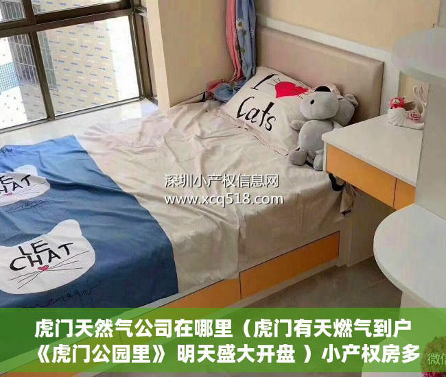 虎门天然气公司在哪里（虎门有天燃气到户《虎门公园里》 明天盛大开盘 ）小产权房多久可以居住，