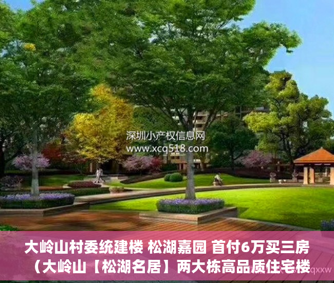 大岭山村委统建楼 松湖嘉园 首付6万买三房（大岭山【松湖名居】两大栋高品质住宅楼 ）大产权下来后小产权多久可以办理，