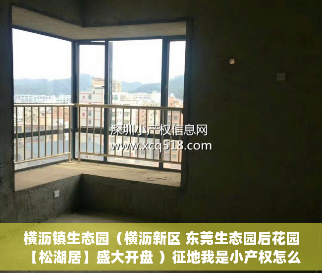 横沥镇生态园（横沥新区 东莞生态园后花园 【松湖居】盛大开盘 ）征地我是小产权怎么办，