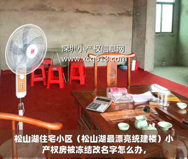 松山湖住宅小区（松山湖最漂亮统建楼）小产权房被冻结改名字怎么办，