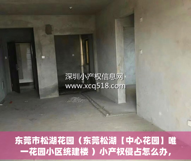 东莞市松湖花园（东莞松湖【中心花园】唯一花园小区统建楼 ）小产权侵占怎么办，