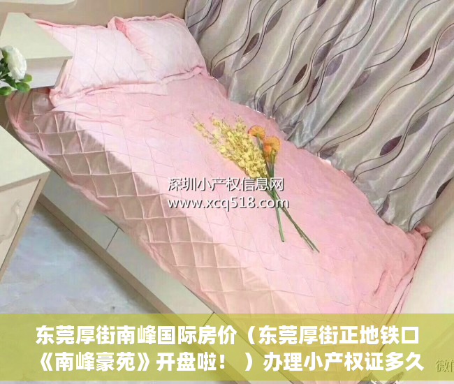 东莞厚街南峰国际房价（东莞厚街正地铁口《南峰豪苑》开盘啦！ ）办理小产权证多久可以拿到房产，