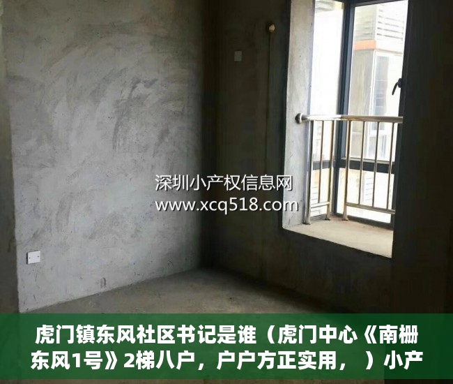 虎门镇东风社区书记是谁（虎门中心《南栅东风1号》2梯八户，户户方正实用， ）小产权改名需要多久，