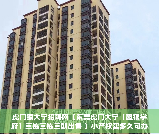虎门镇大宁招聘网（东莞虎门大宁【超狼学府】三栋三栋三期出售 ）小产权买多久可办居住证，