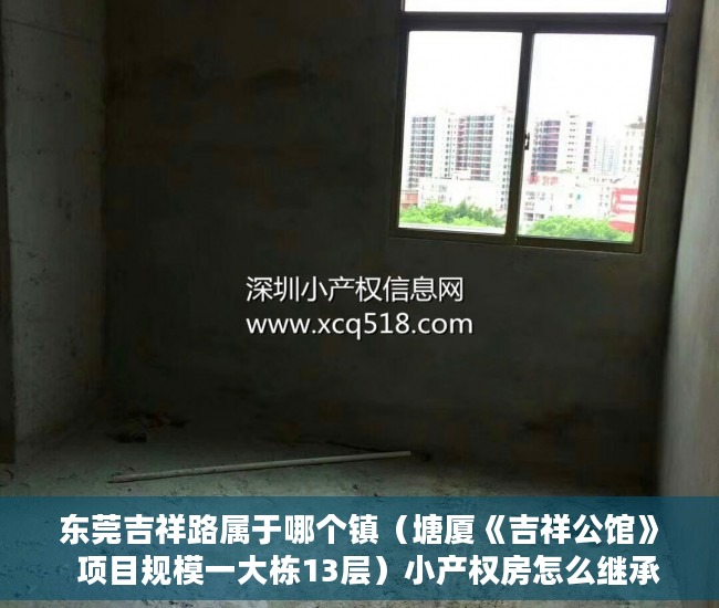 东莞吉祥路属于哪个镇（塘厦《吉祥公馆》  项目规模一大栋13层）小产权房怎么继承，