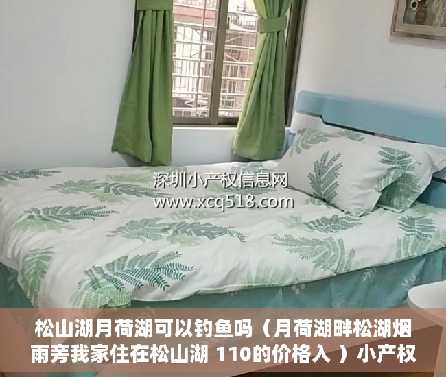 松山湖月荷湖可以钓鱼吗（月荷湖畔松湖烟雨旁我家住在松山湖 110的价格入 ）小产权房主可以住多久，