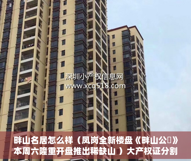 畔山名居怎么样（凤岗全新楼盘《畔山公館》本周六隆重开盘推出稀缺山 ）大产权证分割小产权证要多久，