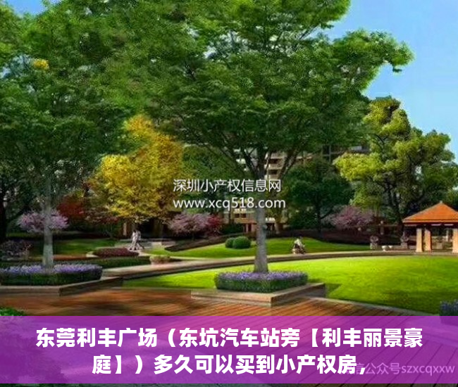 东莞利丰广场（东坑汽车站旁【利丰丽景豪庭】）多久可以买到小产权房，