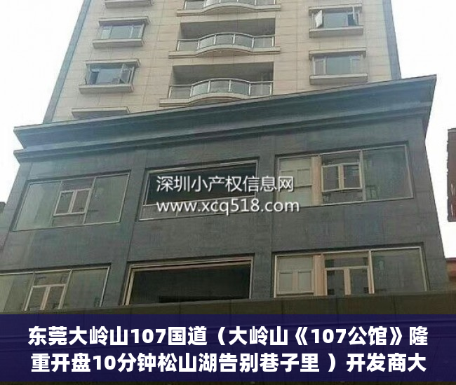 东莞大岭山107国道（大岭山《107公馆》隆重开盘10分钟松山湖告别巷子里 ）开发商大产权办了小产权多久办下来，