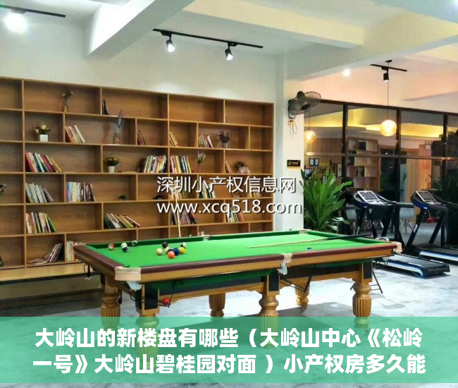 大岭山的新楼盘有哪些（大岭山中心《松岭一号》大岭山碧桂园对面 ）小产权房多久能卖，