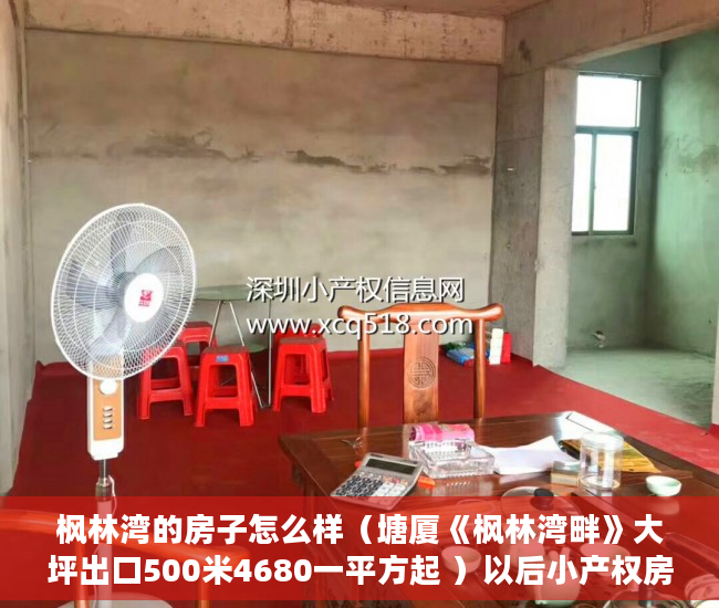 枫林湾的房子怎么样（塘厦《枫林湾畔》大坪出口500米4680一平方起 ）以后小产权房怎么处理，