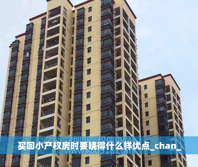 买回小产权房时要晓得什么样优点_chan_